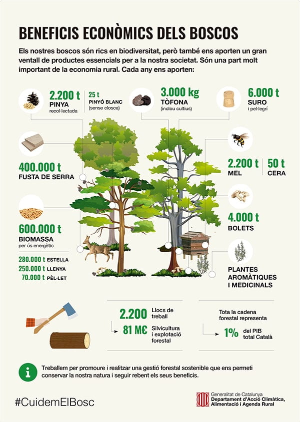 Infografia FORESTS Beneficios bosques ENSCAT
