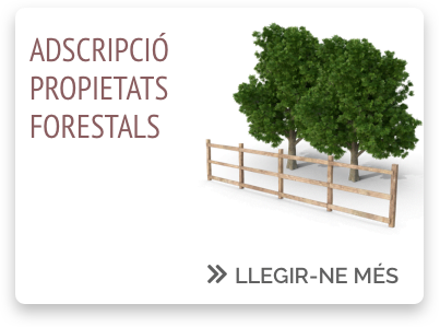 Adscripció propietats forestals_ENSCAT